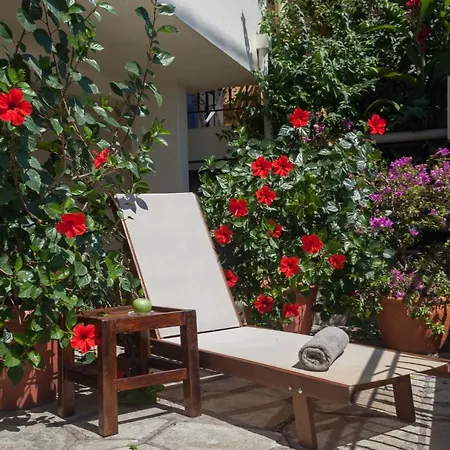 شقة Avgi By The Sea